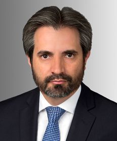 Ignacio L Torterola