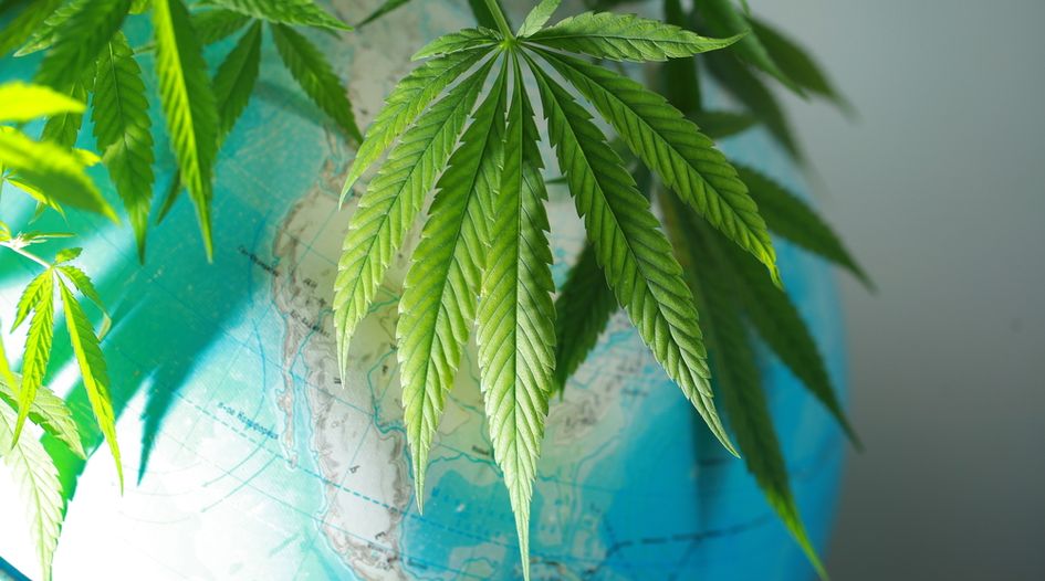 Practical strategies for protecting and enforcing cannabis brands across North America
