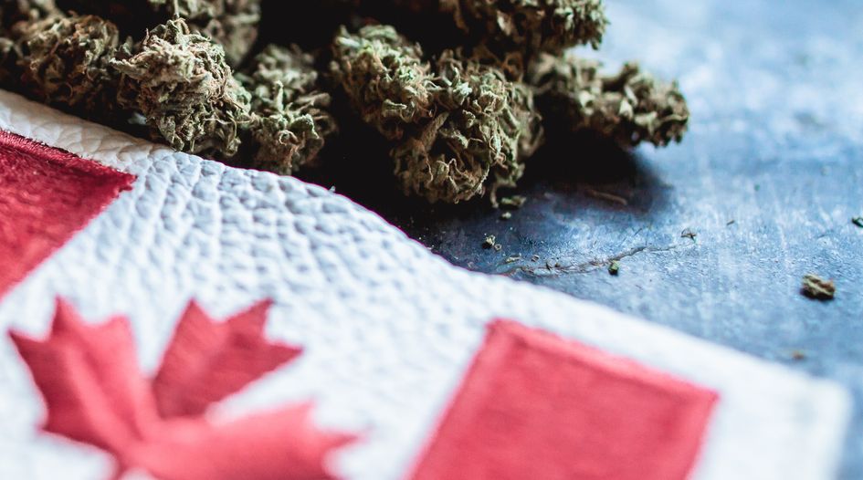 Bennett Jones, KSV appointed as cannabis multinational secures protection in Canada