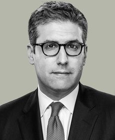Nicholas S Goldin