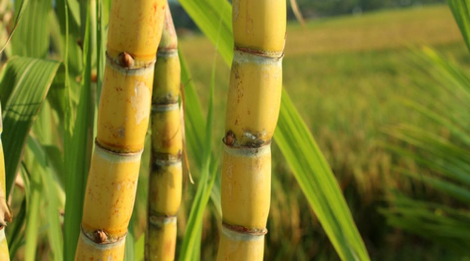Brazilian sugar group gets sustainability-linked credit line