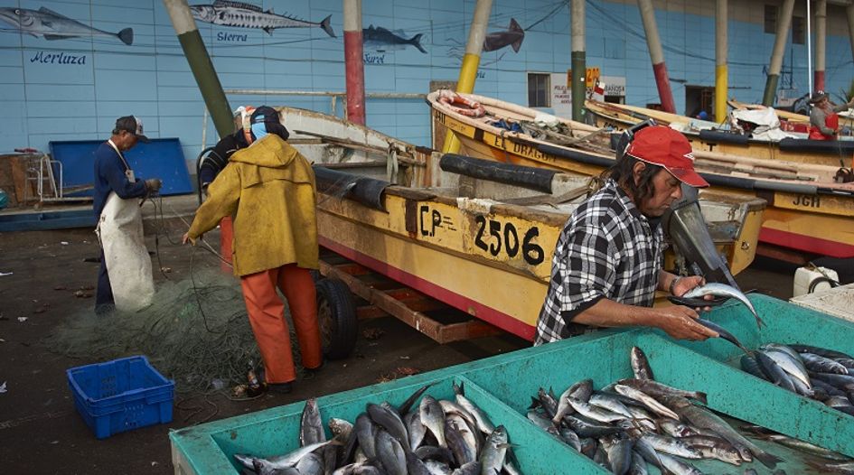 Chilean fishing company renegotiates debt