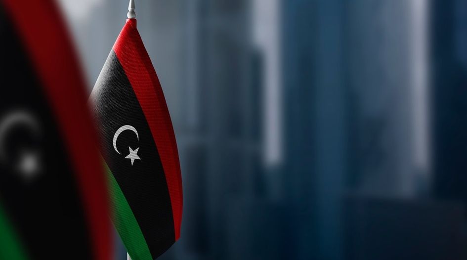 Libyan sovereign wealth fund defeats attachment bid