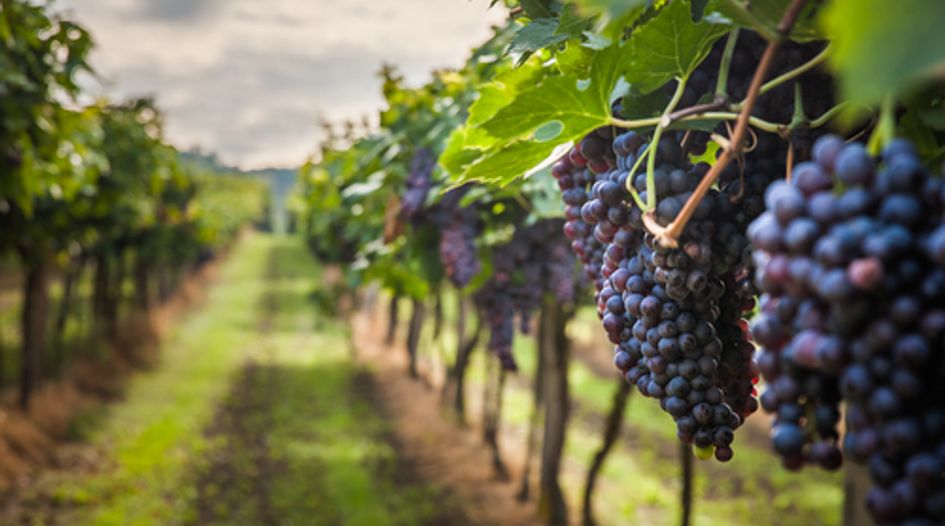 Chilean winemaker gets green loan