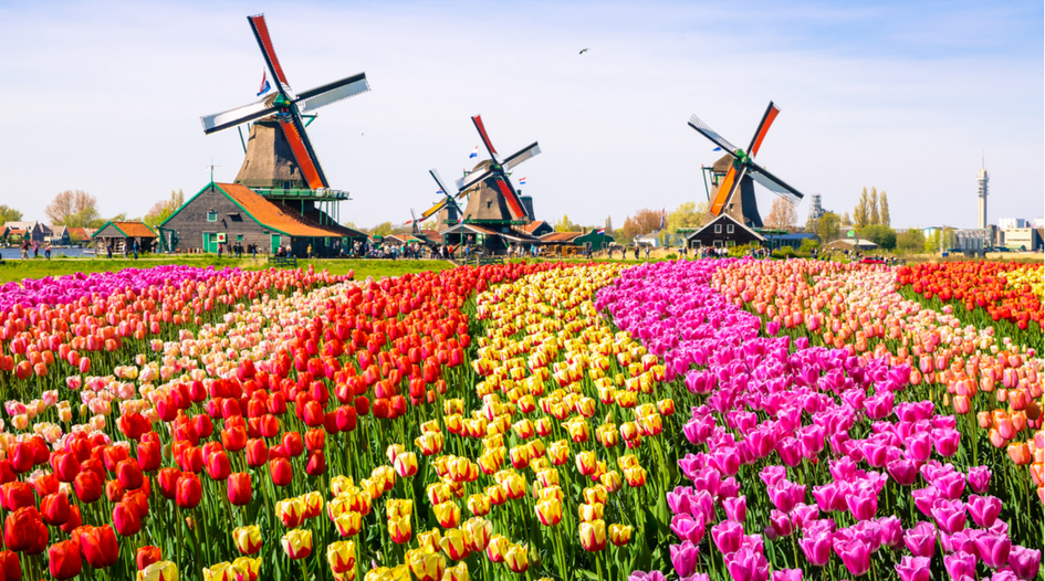 ESG and diversity emphasised in Dutch corporate governance update