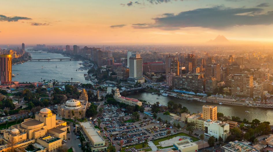 Cairo centre reveals 2021 case numbers