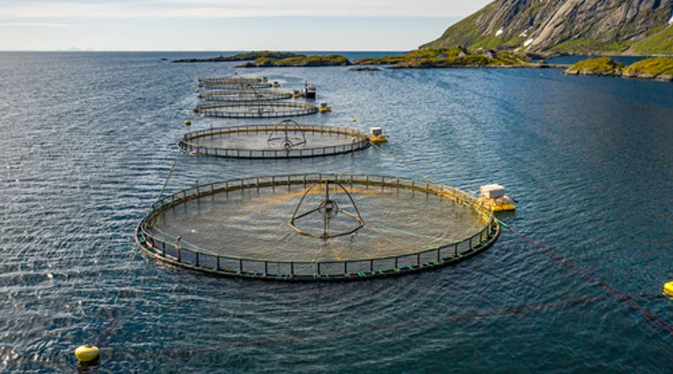 EU conditionally approves three-to-two salmon farm deal