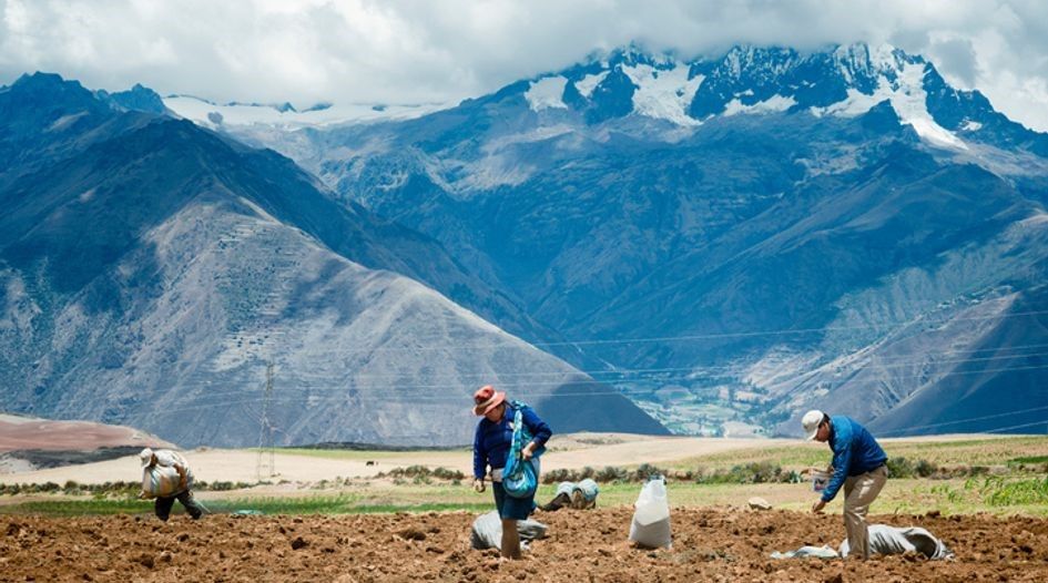 Peru ordered to pay in land bonds dispute