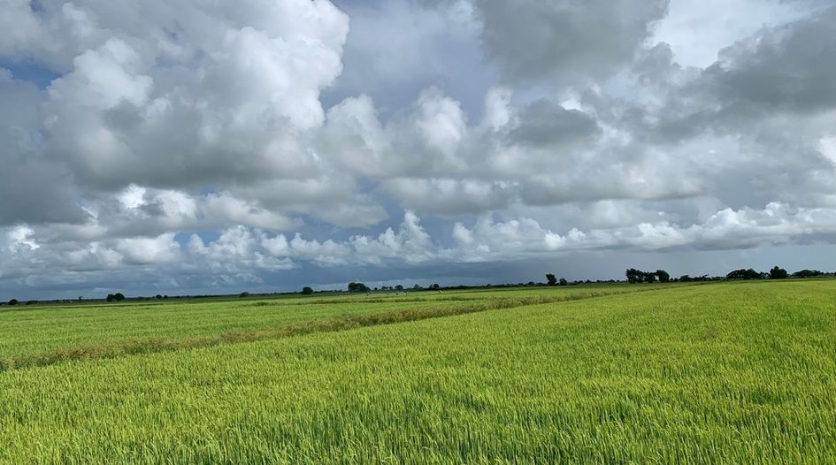 Guyana pursues Panama over rice exports