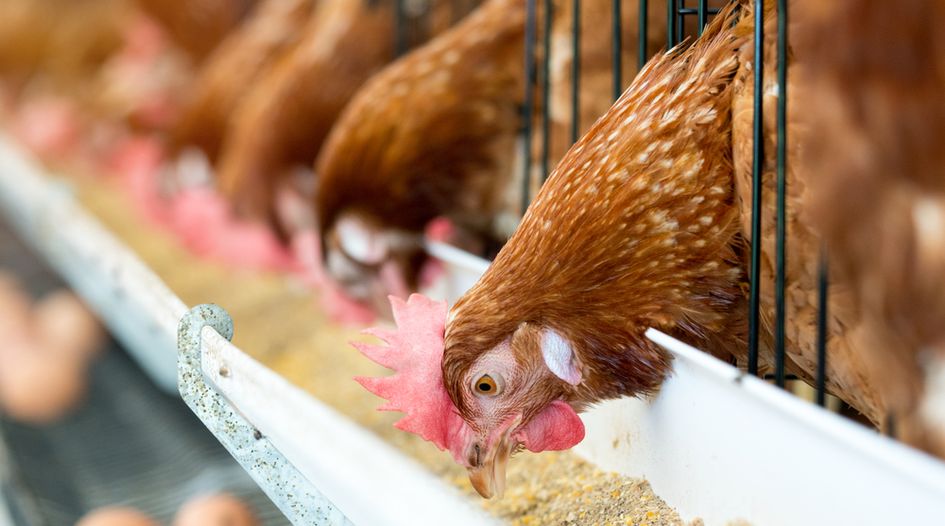 CMA opens Phase II probe into poultry feed JV