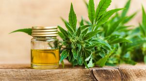 The fast-evolving cannabis patent dispute landscape