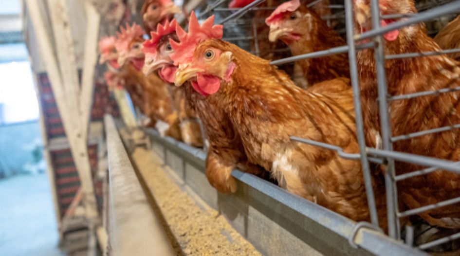 Chicken feed deal scrapped over CMA Phase II