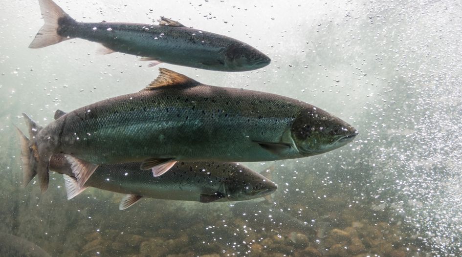 Chile threatened over salmon farm sanctions