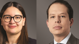 Greenberg Traurig promotes two in Mexico