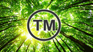 Going green in the UK: the role of trademarks in sustainable branding