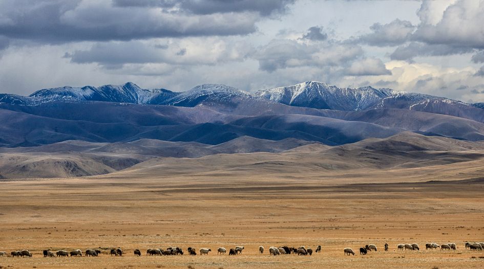 Russian gold investor fails to revive Mongolia claim