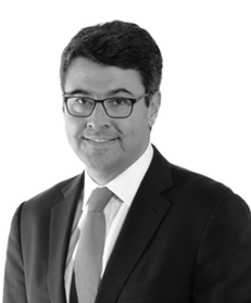 Amadeu Ribeiro