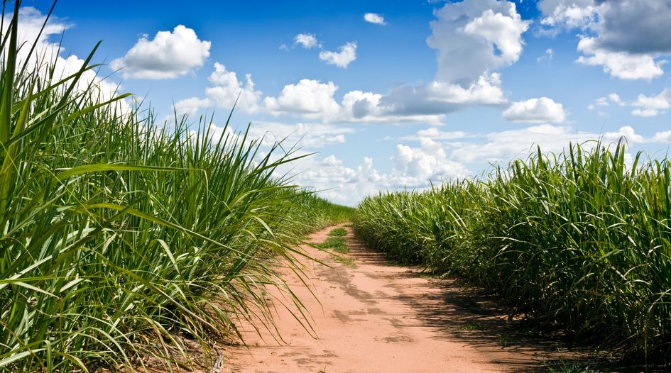 Brazilian sugar producer granted bankruptcy protection, Chapter 15 will follow