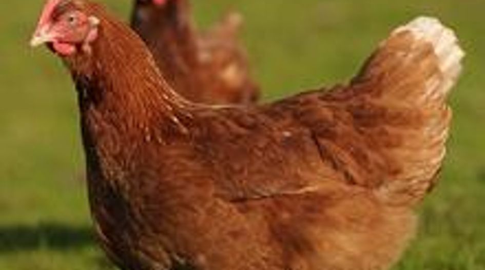 Greece hits poultry cartel with fines