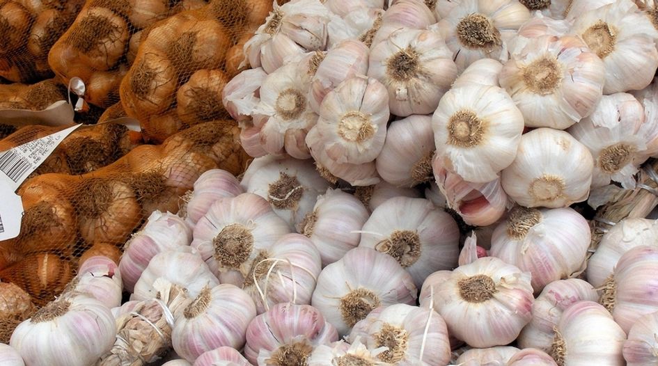 Top-level corruption allegations plague huge Philippines garlic cartel probe