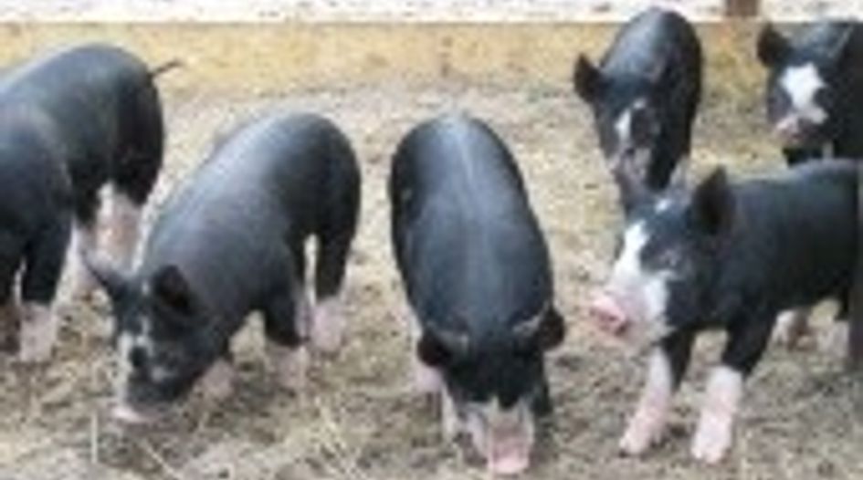 Pig breeder spared security for costs