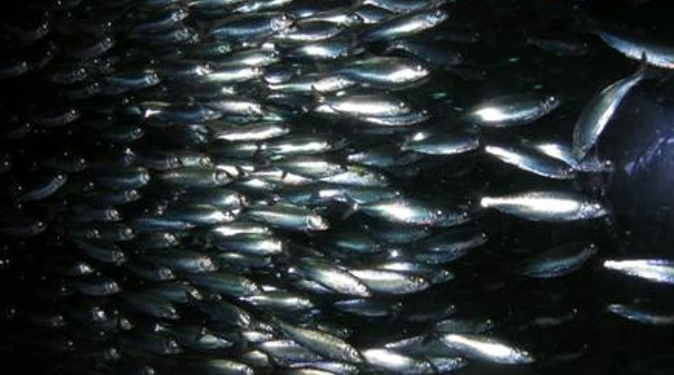 EU off the hook over herring ban