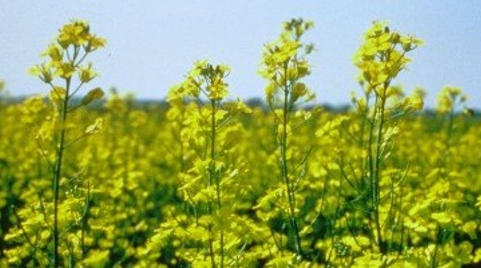 DoJ intensifies Monsanto probe