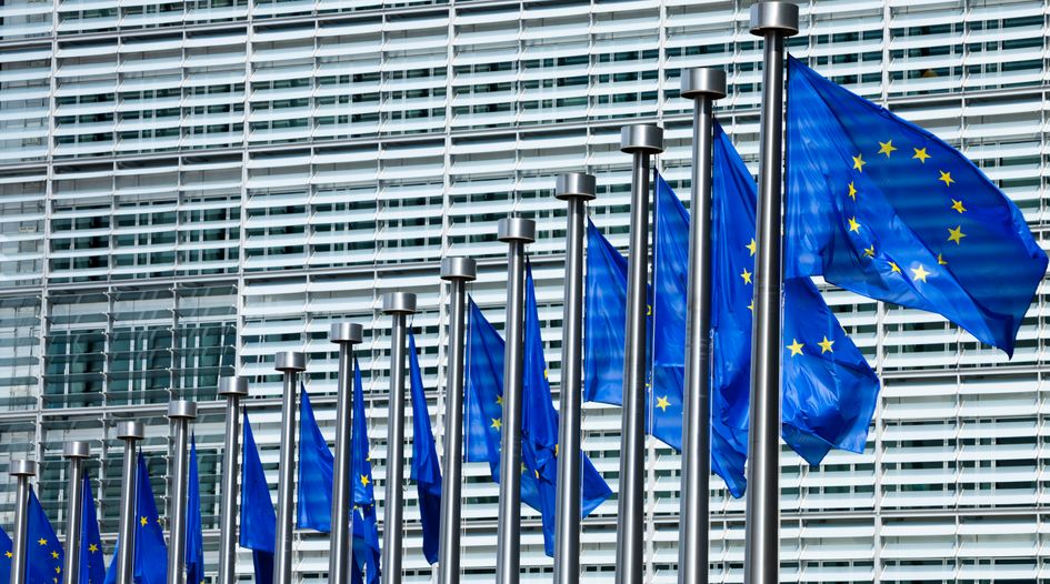 EU seeks external help with Google remedies