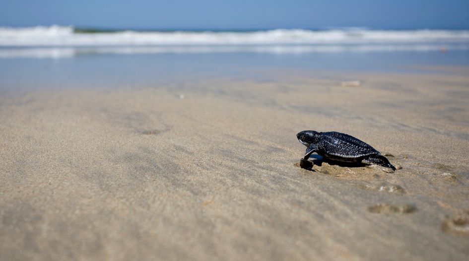 Costa Rica narrows claim over turtle sanctuary