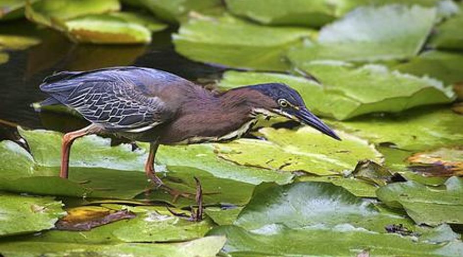 Barbados wetlands give rise to treaty claim