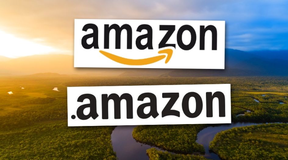 Amazon TLD back in limbo as governments rail against e-commerce giant and ICANN