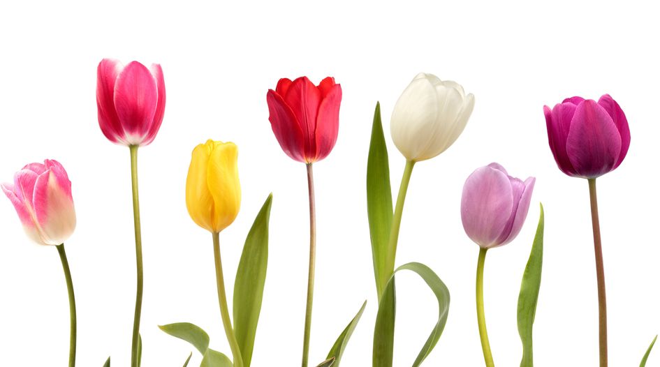 Tulips and tokens: regulators’ growing attention to prudential regulation of crypto-assets