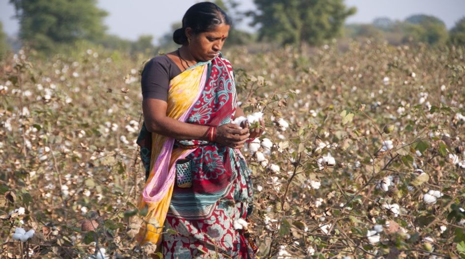 Indian IP jurisprudence is the real winner in the Monsanto cotton technology case