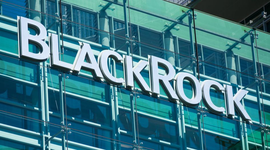 MEPs demand answers after Blackrock arm wins EU banking regulation role