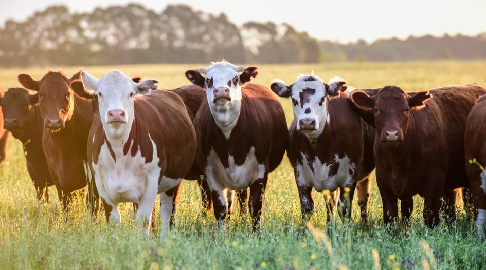 Poland fines cattle feed companies for market sharing