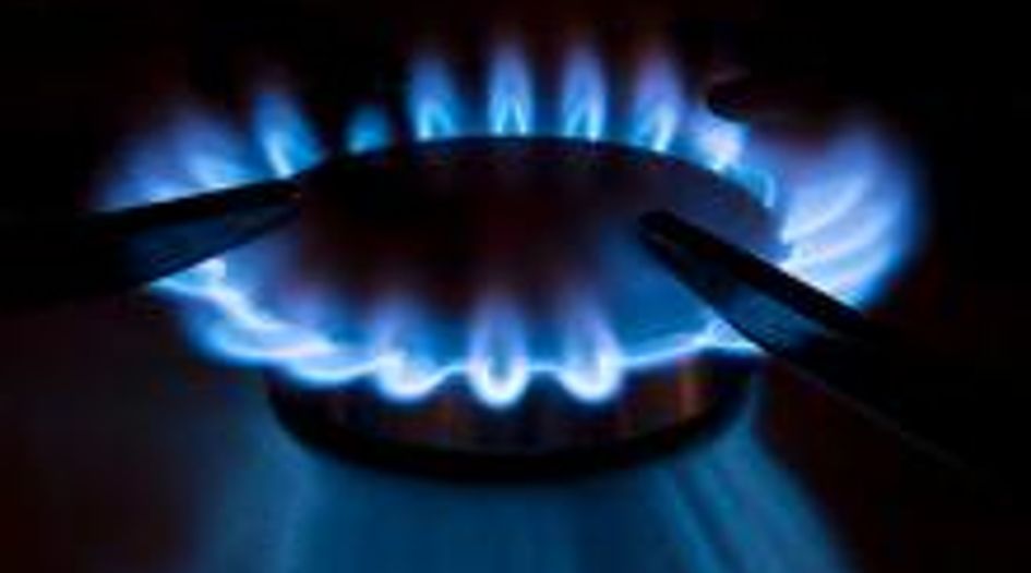 Slovenia drops gas cartel investigation