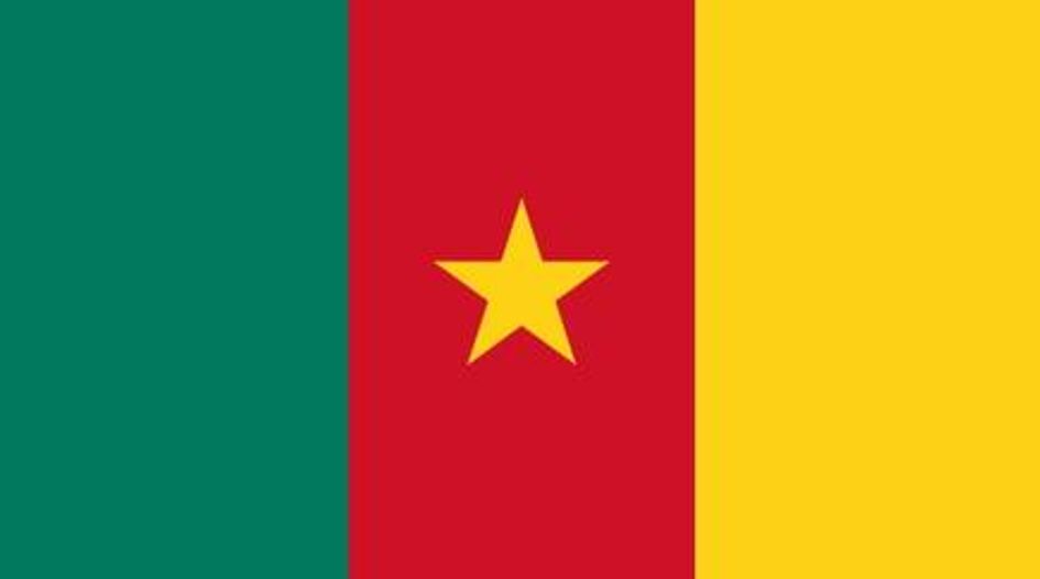 Bank investor sues Cameroon at ICSID