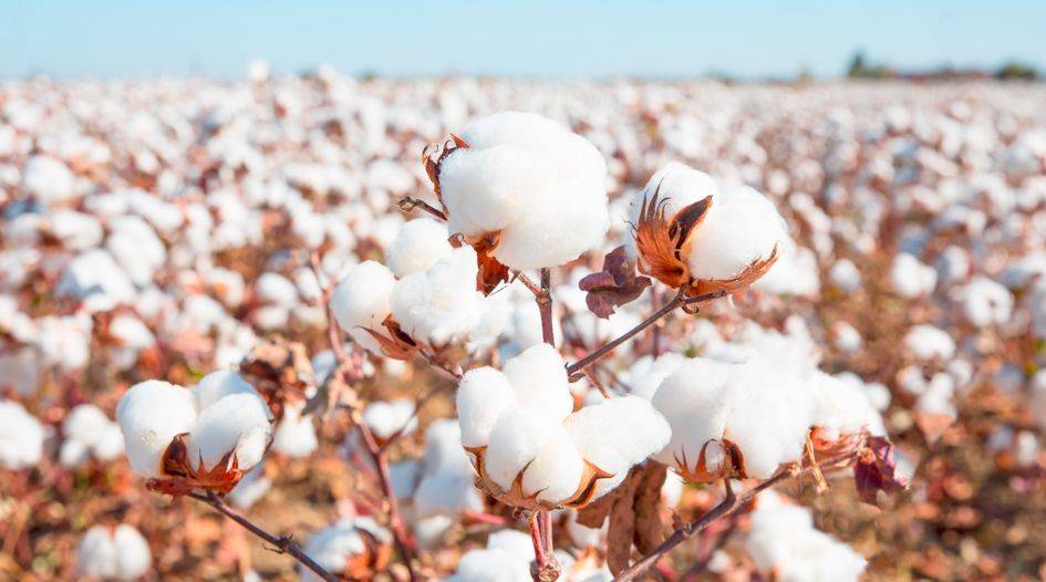 Egypt defeats second claim by cotton investors