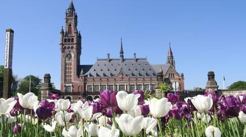 Peace Palace hosts first Dutch Arbitration Day