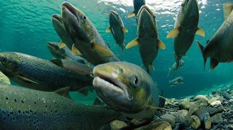 Chile off the hook for fishing claim