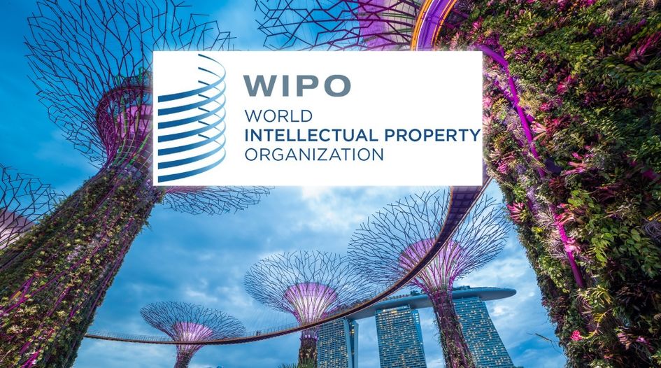 Singapore IP Office chief executive confirmed as candidate as WIPO leadership race prepares for take-off