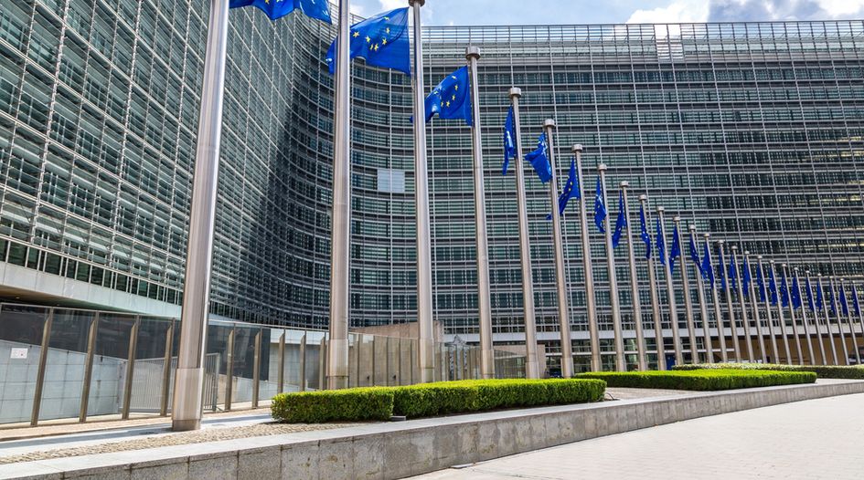 EU could demand review of AIs before market entry