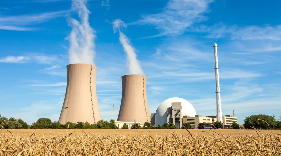 Owners of unfinished nuclear plant oppose Westinghouse DIP financing