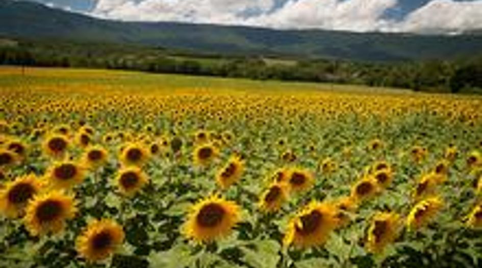 Bulgaria uncovers sunflower oil cartels