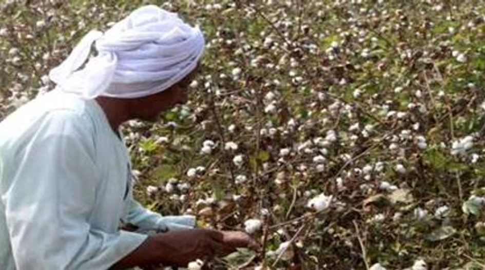Family of cotton investors brings claim against Egypt