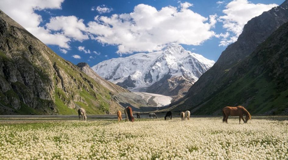 Kyrgyz counsel conflict claim no bar to enforcement in Canada