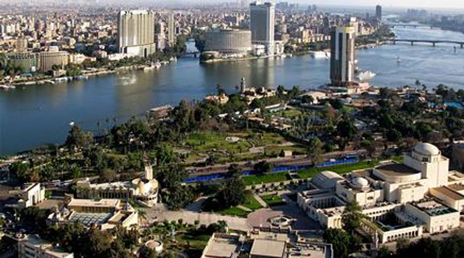 Egypt legislates to safeguard public contracts
