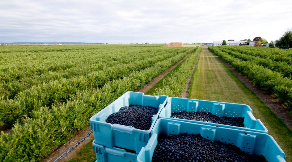 Berry producer gets acquisition financing in Chile