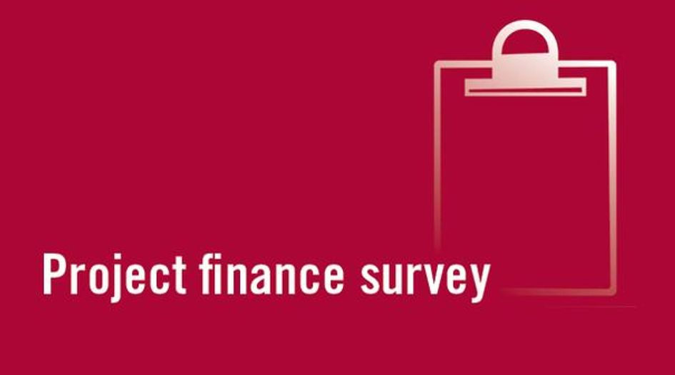 Project finance survey