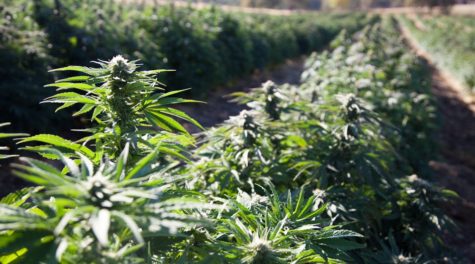 Judge approves Pyxus Chapter 11 despite shareholder revolt - Global ...